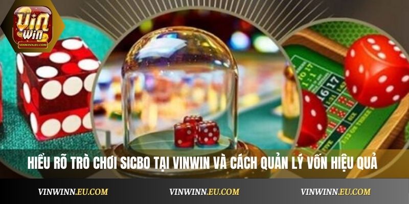 Hiểu rõ trò chơi Sicbo VinWin và cách quản lý vốn hiệu quả