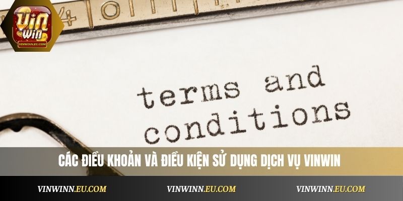 các điều khoản điều kiện sử dụng dịch vụ VinWin