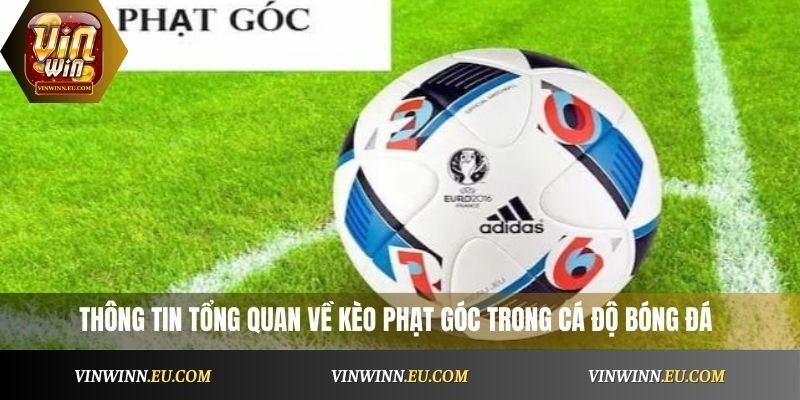 thông tin tổng quan về kèo phạt góc trong cá độ bóng đá